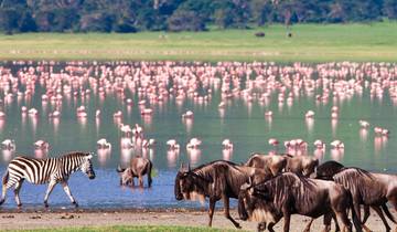 Zambia to Nairobi (Accommodated) - 21 days Tour