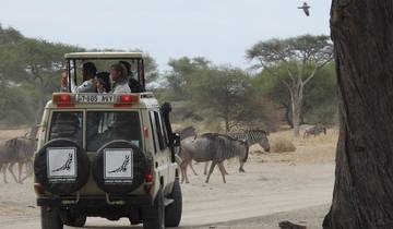 4-Day Serengeti Wildlife Safari and Ngorongoro Crater Tour