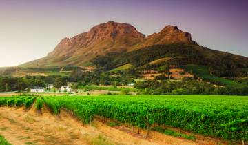 Le Cap et Kruger - 9 jours