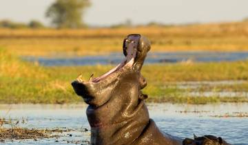 5-Days Ultimate Mobile Safari in Mana Pools