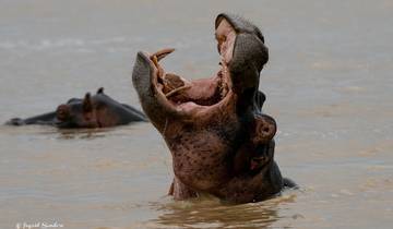 5-Days Ultimate Mobile Safari in Mana Pools