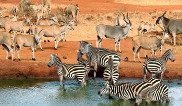 9-Days Discover Kenya Parks Economy Safari Tour