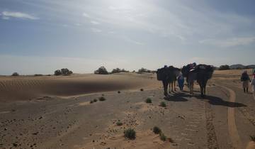 8 días de excursión en camello por el desierto de Marruecos