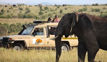 4-Day Midrange Amboseli/Tsavo West/Tsavo East Safari Tour