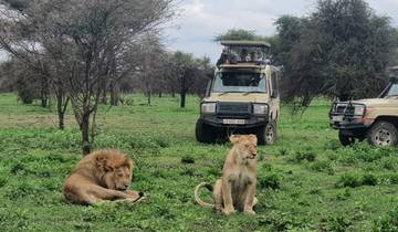 3 Days - Arusha NP, Tarangire & Manyara