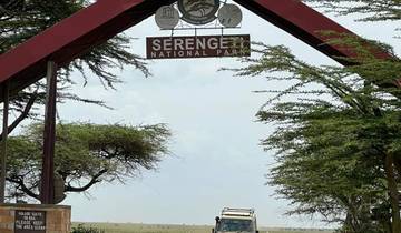 Arusha, Serengeti & Ngorongoro-Krater - 5 tage Rundreise