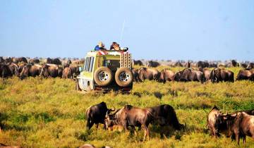 6 Days Masai Mara/Serengeti National Park and Ngorongoro Crater Tour