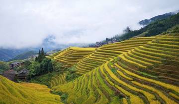 Erkunden Sie Longji & Guilin mit dem Hochgeschwindigkeitszug von Hongkong - 5 Tage