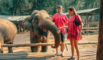 Chiang Mai Elephant ,Waterfall And Adventure Tour (Private And All-Inclusive)