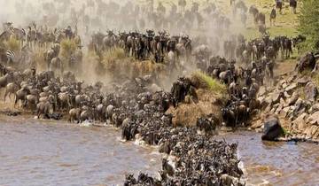 5 jours de safari grande migration Serengeti de luxe - tous les hébergements et transports sont inclus circuit