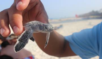 20 Days in Sri Lanka Wildlife, incl. Wilpattu and Yala