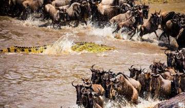 10 Days Kenya Luxury Safari - Wildebeest Migration Safari Tour