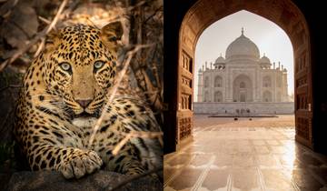 Goldenes Dreieck mit Leoparden Safari & Taj Mahal bei Sonnenaufgang/Sonnenuntergang 5 Tage Rundreise