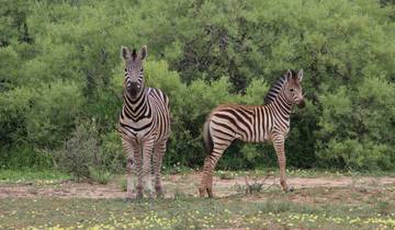 4 Day | Heritage Trail Mapungubwe NP to Kruger NP