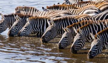 Kenya & Tanzania Great Migration 7-Day Safari