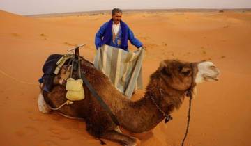 5 Days Tour From Casablanca To Marrakesh (Private)