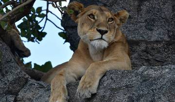 BESTE BIG FIVE SAFARI-rondreis