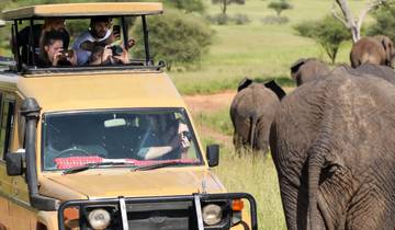 2 jours de safari dans le Serengeti au départ de Mwanza à un prix raisonnable