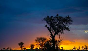 Luxueuze privéreis naar Serengeti & de Ngorongoro-krater – 3 dagen