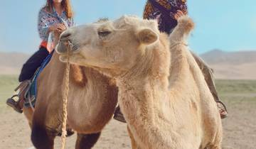 7 Day Mongolia Itinerary, incl. Ulaanbaatar and Gobi Desert