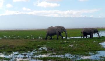 3 Days 2 Nights Amboseli Safari Tour With A Visit To Giraffe Center