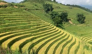 Best Sapa 3D2N Trekking Adventure, Hotel 4 Star + Bungalow With Local Guide Tour
