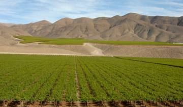 Bicycling Chile\'s Wine Country Tour