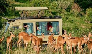 Safari combiné Tanzanie et Kenya - 12 jours