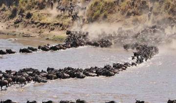 Grande Migration Masai Mara et Serengeti 8 jours