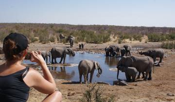 6 Day Etosha, Himba & Skeleton Coast Camping Safari