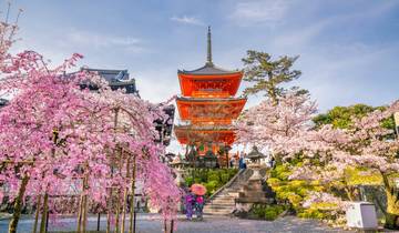 8D Splendid Japan with Nagoya(private 3 star hotel rooms) Tour