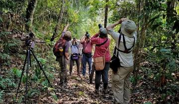 Group Tour, 4 Days Guaviare - Wet Season Tour