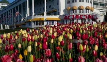 Mackinac Island featuring the Grand Hotel and the Tulip Time Festival (Chicago, IL to Southfield, MI) Tour