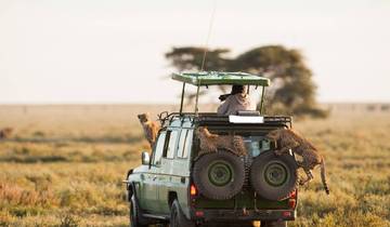 Discover The Top Best of All Top Best 6-Day Kenya Group Safari from Nairobi Tour