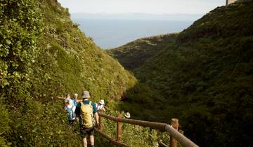 La Palma pour les célibataires et les personnes voyageant seules (8 jours)