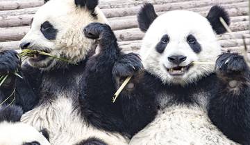 26 Day China Itinerary, incl. Hong Kong and Beijing