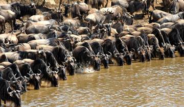 De ultieme 8 dagen Masai Mara migratiesafari – Ontdek de topbestemmingen van Kenia met garantieprijs.-rondreis