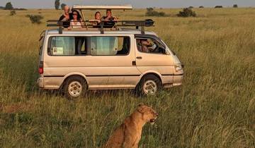 Discover the World-Class 8-Day Group Budget Safari Adventure (Safari Van) from Nairobi, Kenya Tour