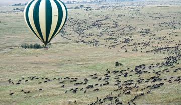 Circuito Safari de 9 días a Masai Mara por la migración de los ñus: Explora los parques más emblemáticos de Kenia a un precio asequible.