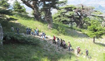 Evocative Lebanon : Les gens, l'histoire et les paysages