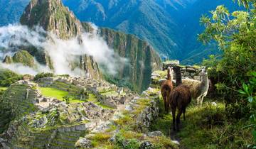 Highlights of Peru (Amazon, 12 Days, Intra Tour Air Cusco To Lima) Tour