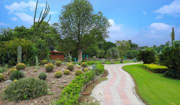 Vibrant Chandigarh City Tour