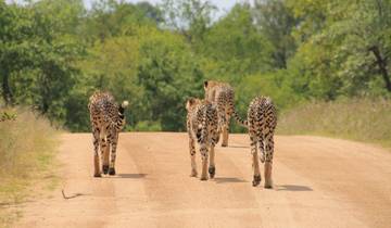 7 Days in Southern Africa, incl. Kruger and Victoria Falls