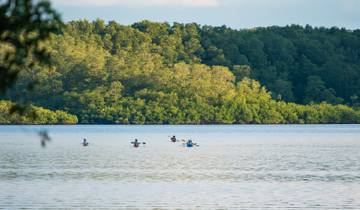 8-Day Lodge-to-Lodge Golfo Dulce Sea Kayaking Trip Tour