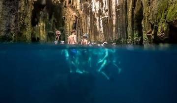 FIJI Blue Lagoon and Cultural Island Tour