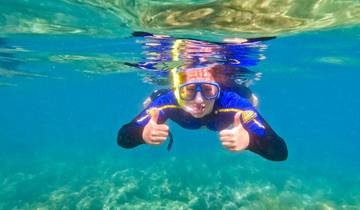 Aventure sur la côte est de l'Oz - 20 jours