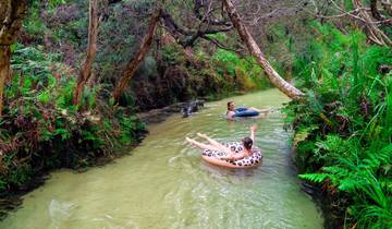 20 Day East Coast Australia Itinerary, incl. Brisbane and Cairns