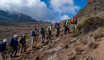 Kilimanjaro Climbing Via Lemosho Route 8 days + 1 day Hotel Stay with Crater Overnight