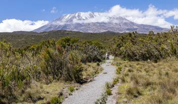 Kilimanjaro Climbing Via Machame Route 6 days + 1 day Hotel Stay