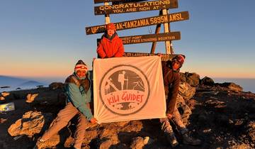 7-Day Lemosho Route Kilimanjaro Trek | Scenic Views & High Success Tour